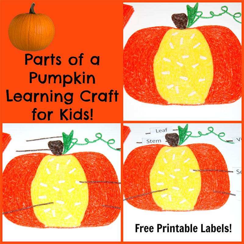 Wikkistix's tweet photo. Parts of a Pumpkin Learning Craft for Kids! https://t.co/npUnzvFyjc #partsofapumpkin #ece #teachers #craftsforkids #fallcrafts https://t.co/hk5n2B8UHx