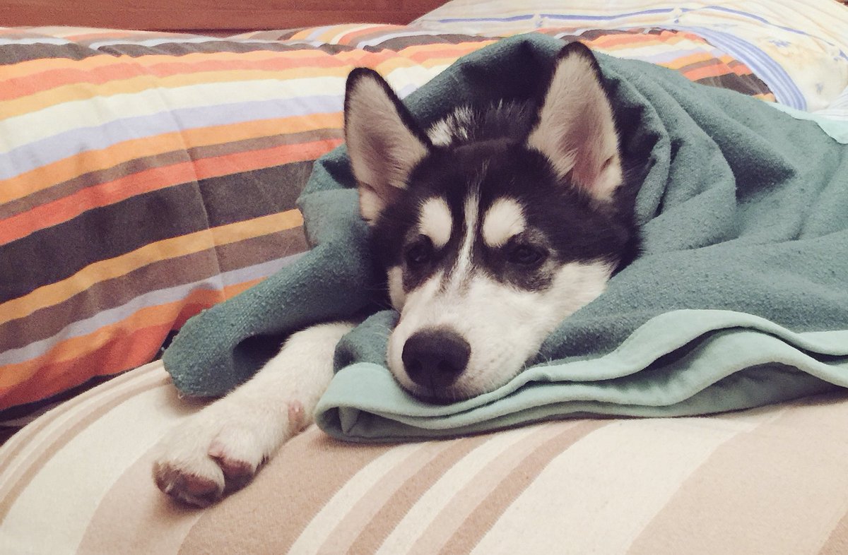 #WinterIsComing #buonanotte