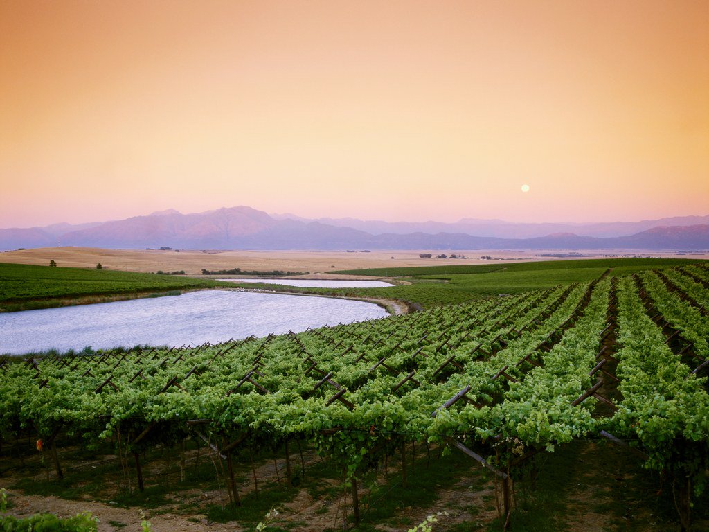 Exploring the #Swartland, the Other South African Wine Region bit.ly/2drfb0I via <a href="/CNTraveler/">Condé Nast Traveler</a> #WinetourismZA