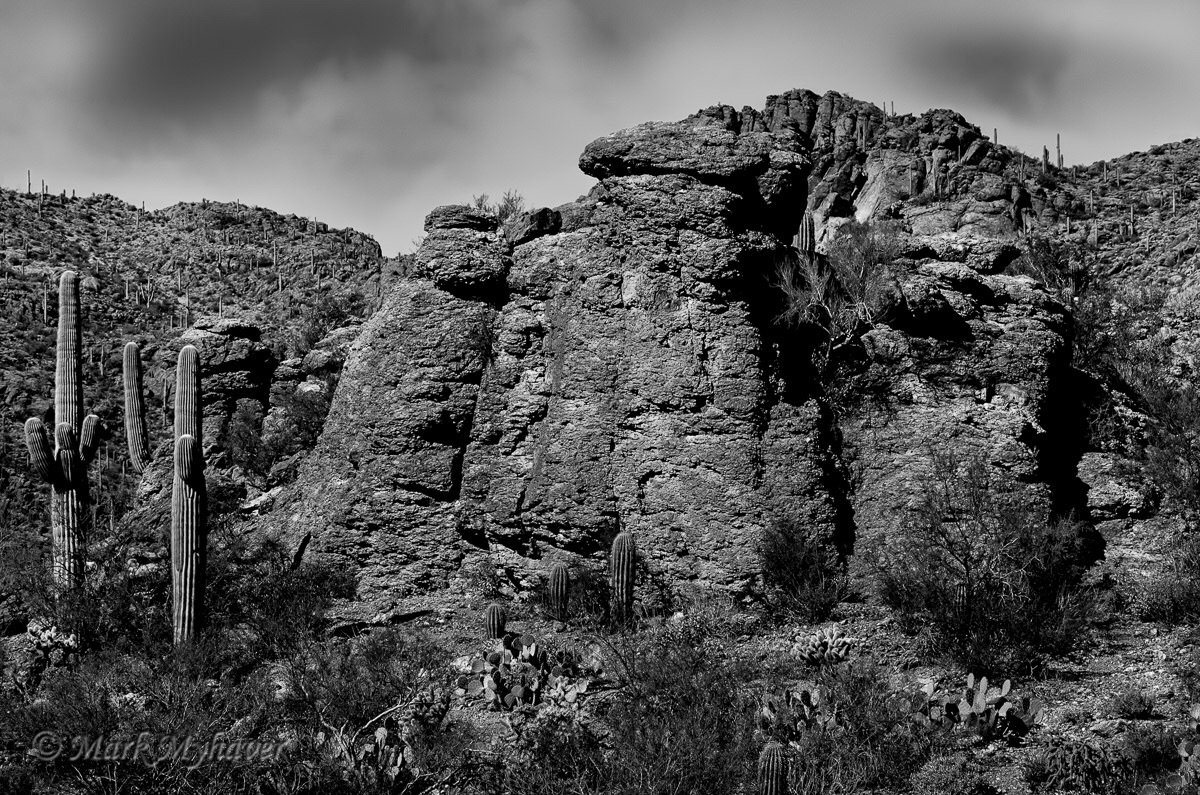 Life On The Rocks Bw Acrylic Print on myhaver.photography! myhaver.photography/products/life-… #myhaverphotography
