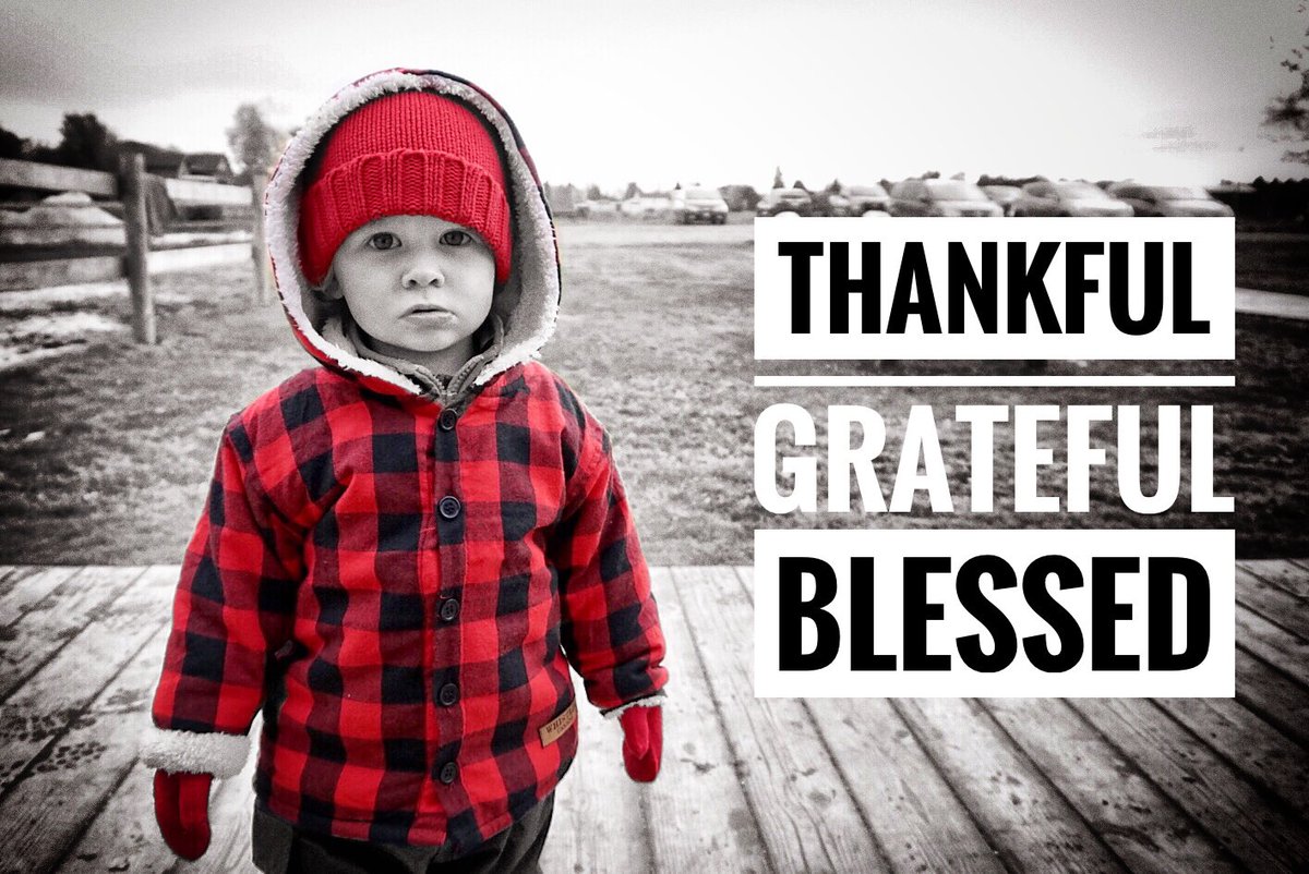 lifewphoenix's tweet photo. Happy #canadianthanksgiving 🦃❤️ https://t.co/bjx8HyhZz3