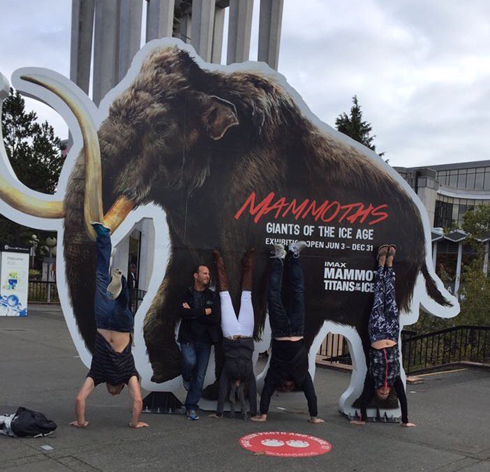 TipsGirl29's tweet image. #rbcmammoths