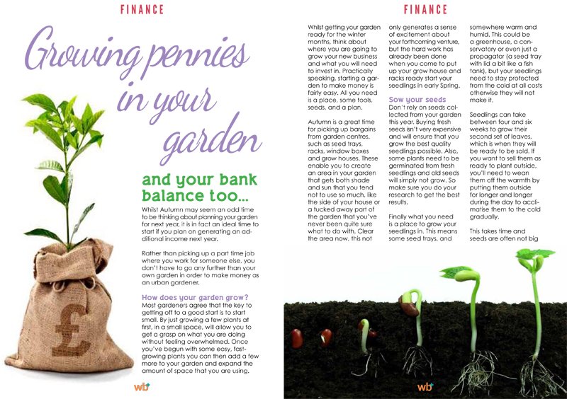 Turn your hobby into a new career, see how you can grow pennies in your garden!
wellbeingplusmag.com/2016autumn/#86… #garden #finance #lifestyle