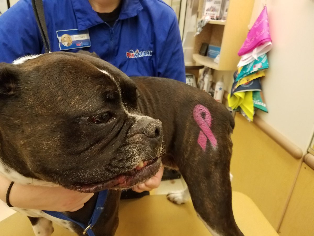Petsmart1167 tweet media
