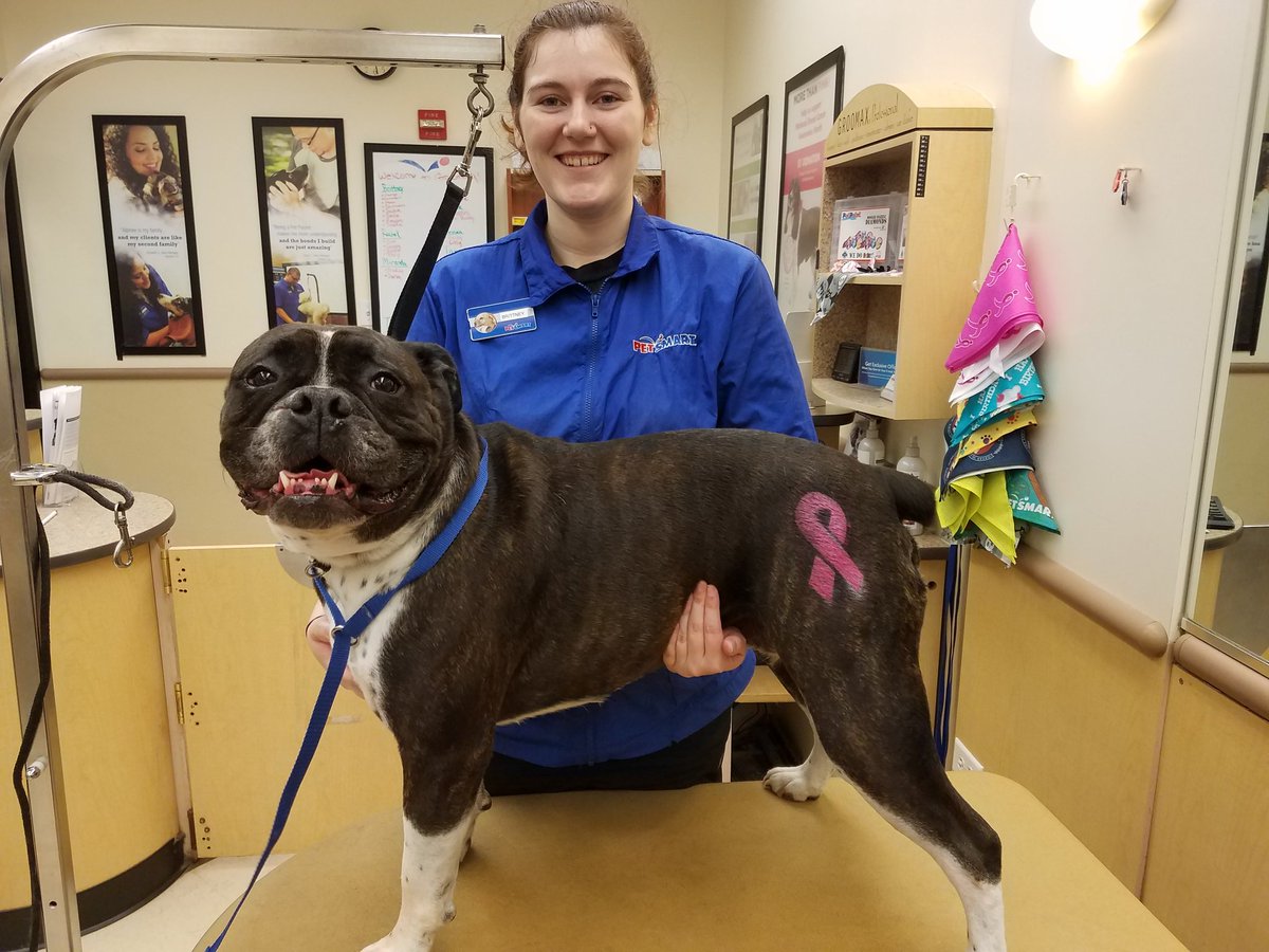 Petsmart1167 tweet media