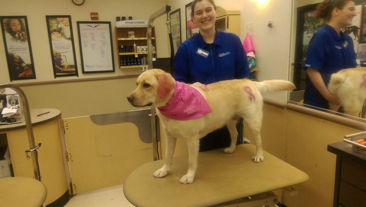 Petsmart1167 tweet media