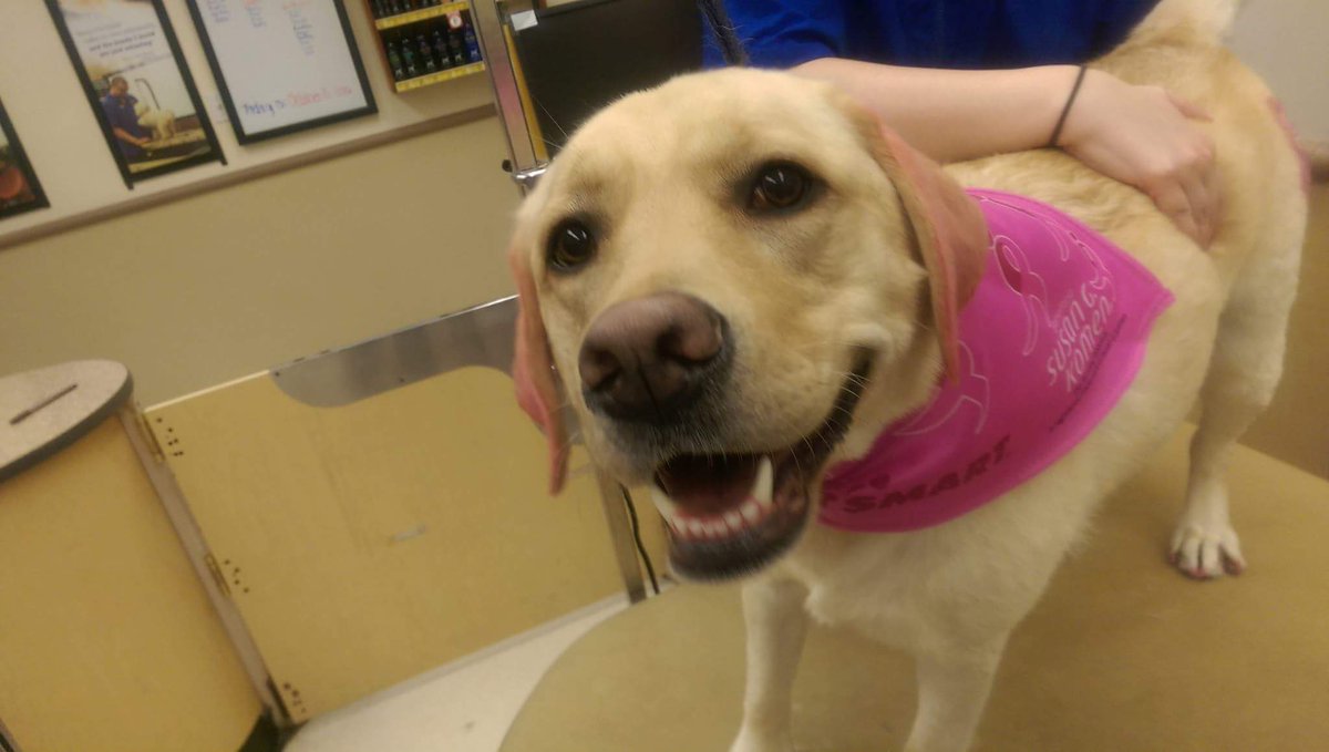 Petsmart1167 tweet media