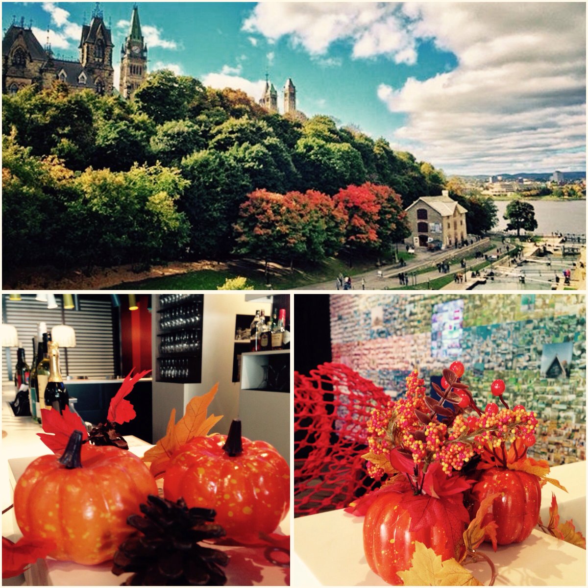 AltHotel's tweet photo. Happy Thanksgiving from all of us here at the #alto #altottawa #altcafe Have a wonder’fall’ day. #gobblegobble https://t.co/THZhQwPQFi