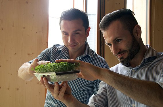 Cell Garden tweet media