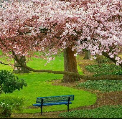 Hay am (@amhayam18) on Twitter photo 