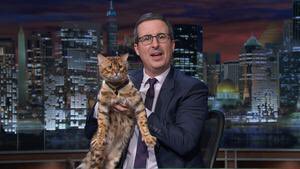 LastWeekTonight's tweet photo. .@RamzanKadyrov Is this your cat? https://t.co/VY3pkFLxgJ