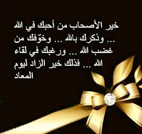 ���� ���� ������ �� ���� ������