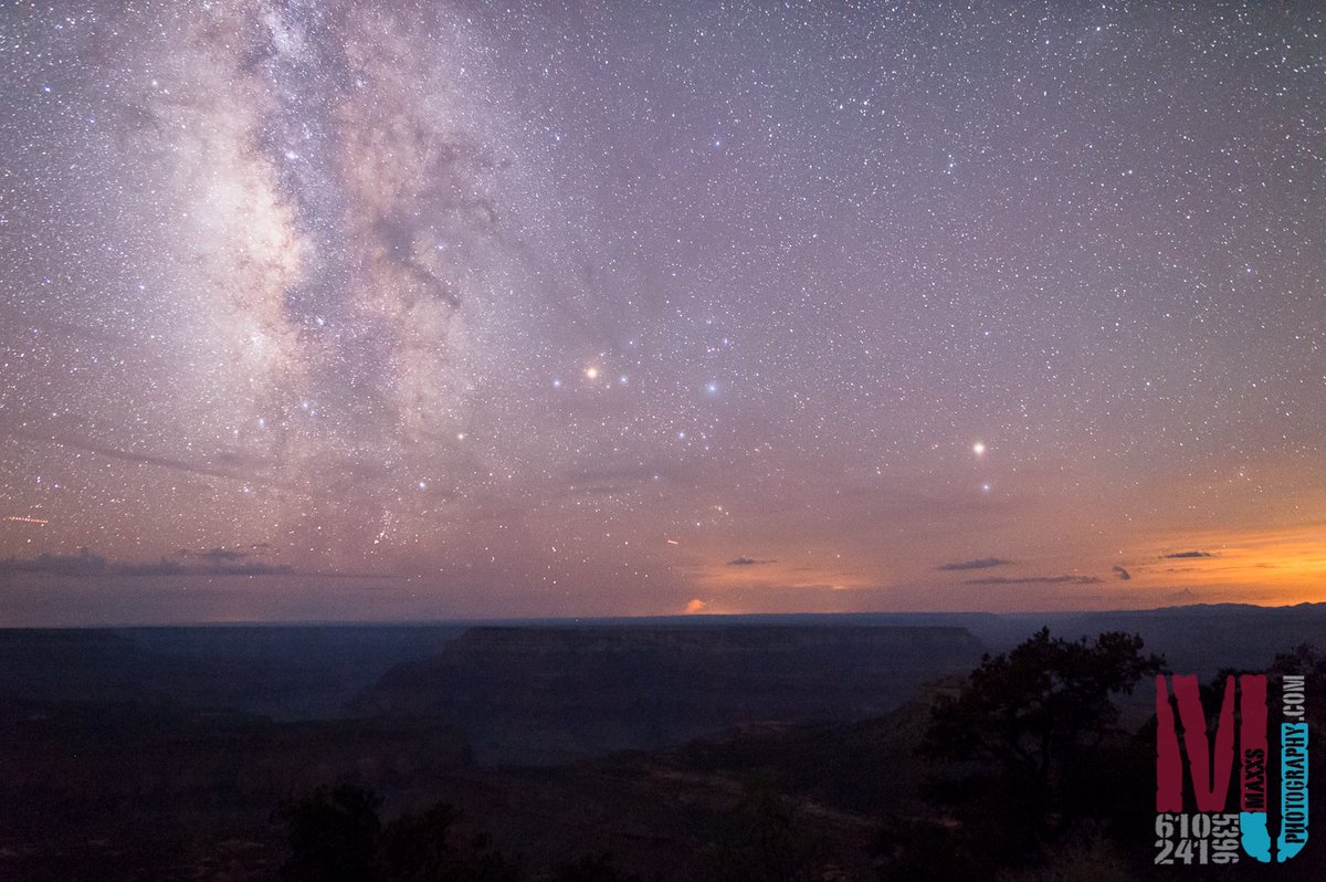 Max Jackson tweet media