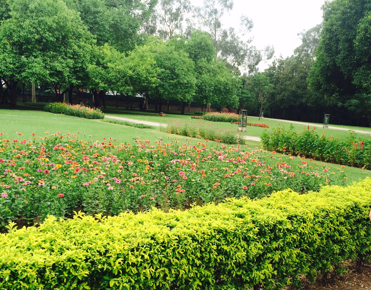 whimsical_chic's tweet photo. @Visionexpressin #SightToSmile nature https://t.co/In4USDUv8y