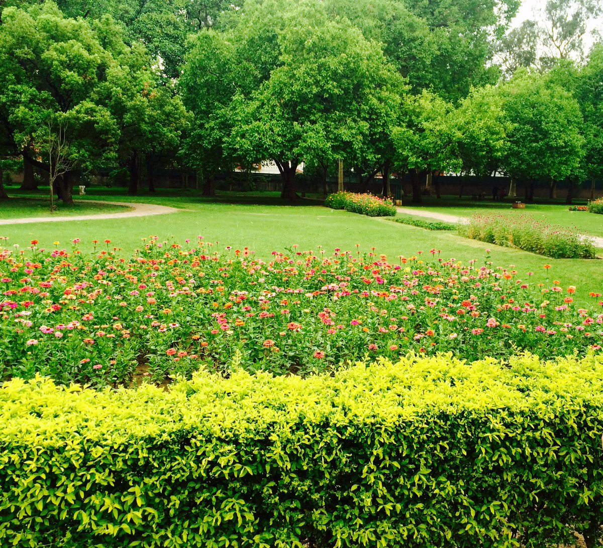 whimsical_chic's tweet photo. @Visionexpressin #SightToSmile gardens and flowers https://t.co/nkFSg1Gtl8
