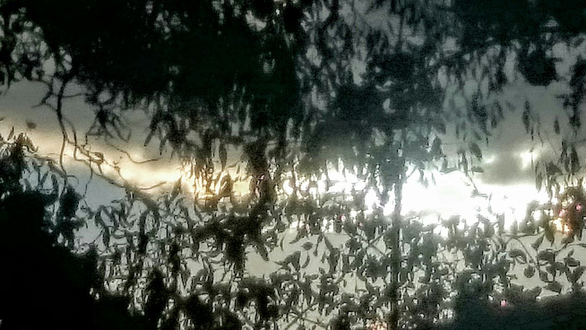AlisonFlanders's tweet photo. #sunandlight #throughtheclouds #ThePhotoHour https://t.co/XZhzmrgTRJ