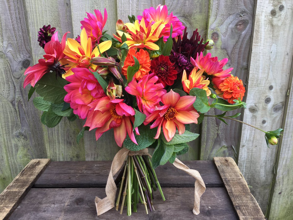 Good night #bedshour- sorry I've been quiet-helpful husband decided turn of the internet for last hour! I'll leave you will some sunshine