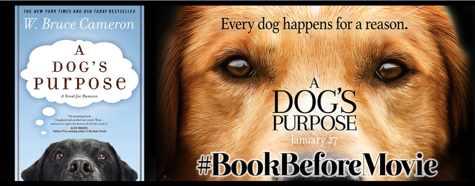 MelissaBerryman's tweet photo. .Reading @adogspurpose before the movie comes out #ismypurposeinlife #bookbeforemovie https://t.co/CyYVAMHdTH