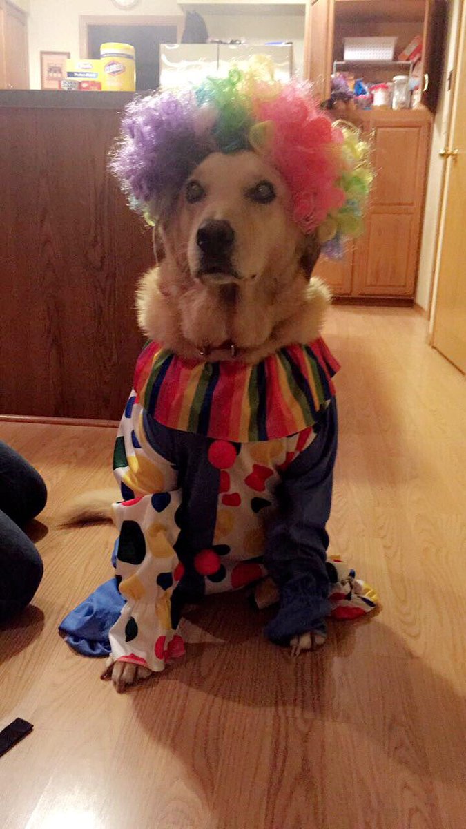 annakrizsa23's tweet photo. smh these clown sightings are getting out of hand https://t.co/6TJxC2K5g3