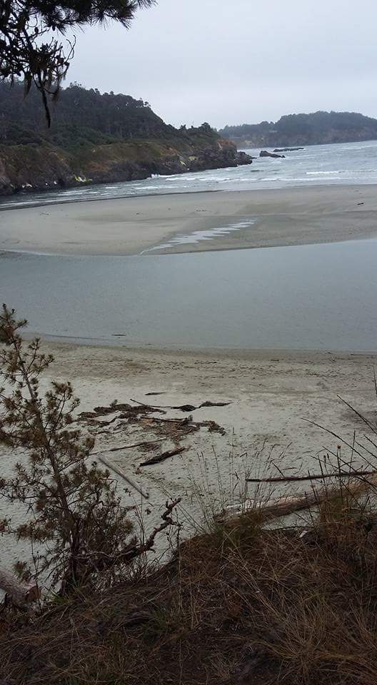 TheRealEasyJim's tweet photo. Strangest of places. @fat_man_rocks @pawhite @hughesplus @touchofgreynj @mjesusgz @ufoemo @icculus99 @cenzo011916 @wickawill @Lyferdeadhead https://t.co/XLcPePEMCh