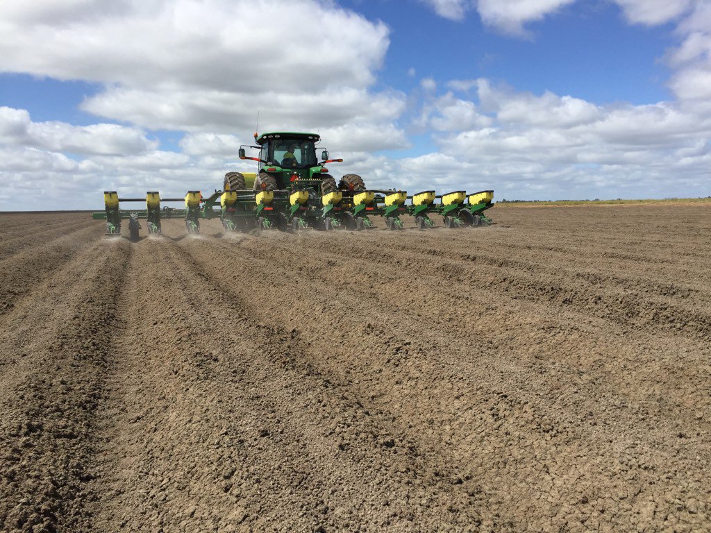 RichMalon's tweet photo. And we're off! Cotton 16.17 has begun in the Riverina. There's even dust @CottonResearch @CottonAustralia https://t.co/vNoQ72EpRi