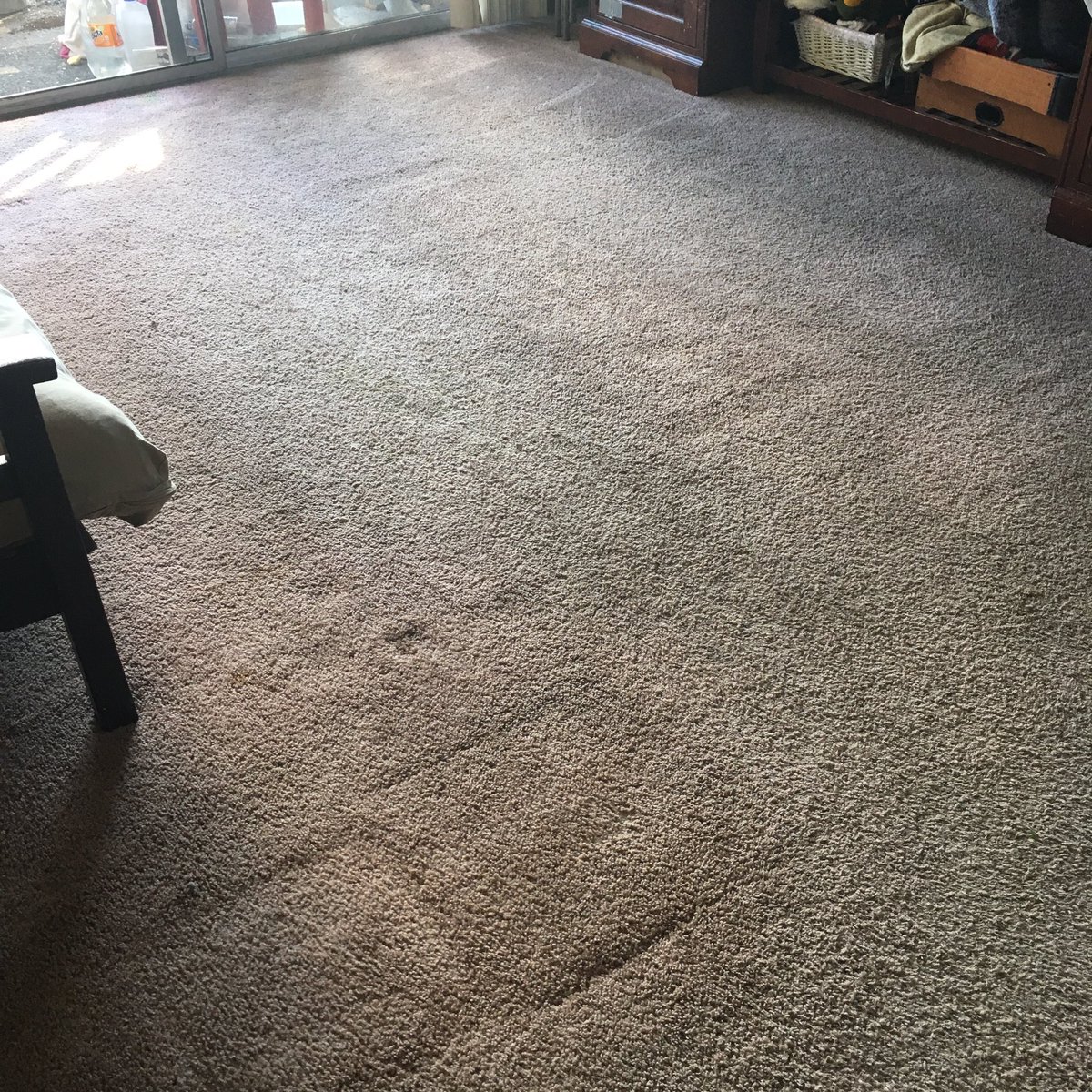 Bought a #carpet cleaner and started #oneroomatatime Needs to be done twice but is better already!   
#cleaning #homemaking  #kidsaremessy