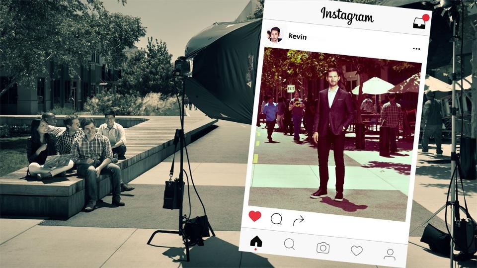 Two Dogs Digital tweet media