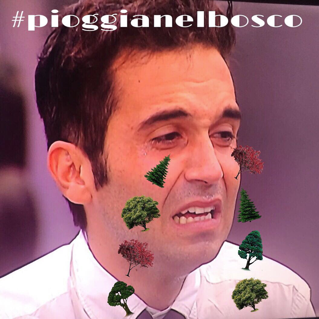 Conteome's tweet photo. #pioggianelbosco @GrandeFratello #GFvip #bosco #funny https://t.co/agQ2da9IxQ