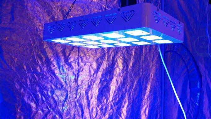 LED_Grow_Lights's tweet photo. Congratulations! You are now the proud owner of your very own AdvancedLED Lights. Need help? Head to https://t.co/ZILNNC3xqb https://t.co/0yOJ7nJSm7
