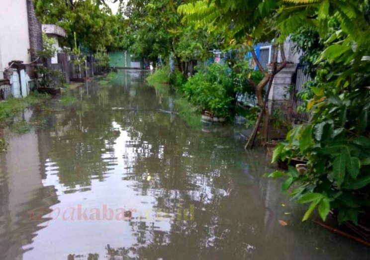 Hujan Sehari, Banjir Rendam Sidoarjo - apakabar.co.id/peristiwa/item…