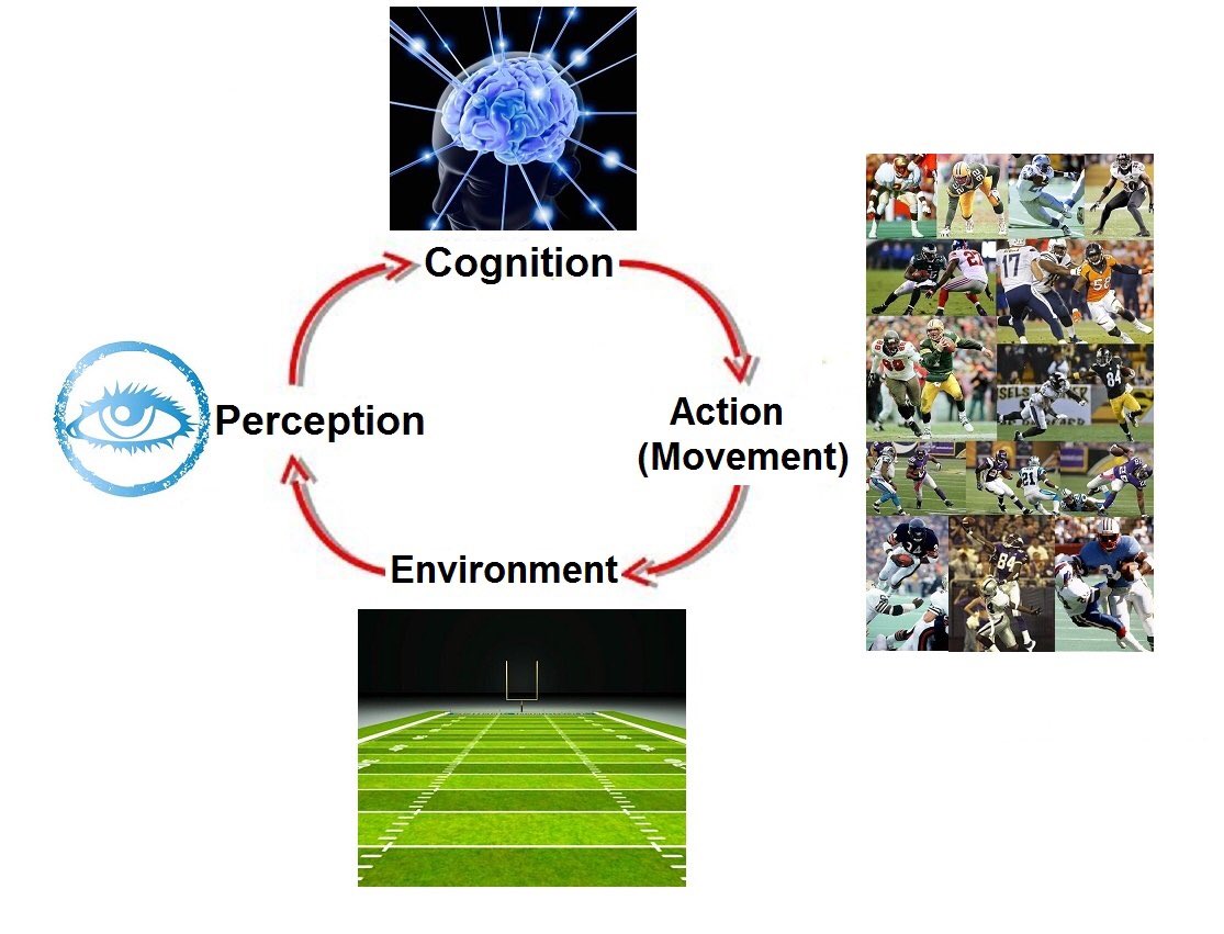 CoachRC23's tweet photo. It's doesn't matter who the player is, or position, the cycle of on field problem solving and making plays all starts w/ the same process https://t.co/qGgO7ysTir