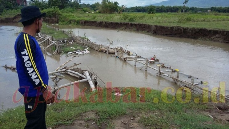 Tanggul Jebol, 50 Hektar Sawah Terancam Tanam Ulang - apakabar.co.id/peristiwa/item…
