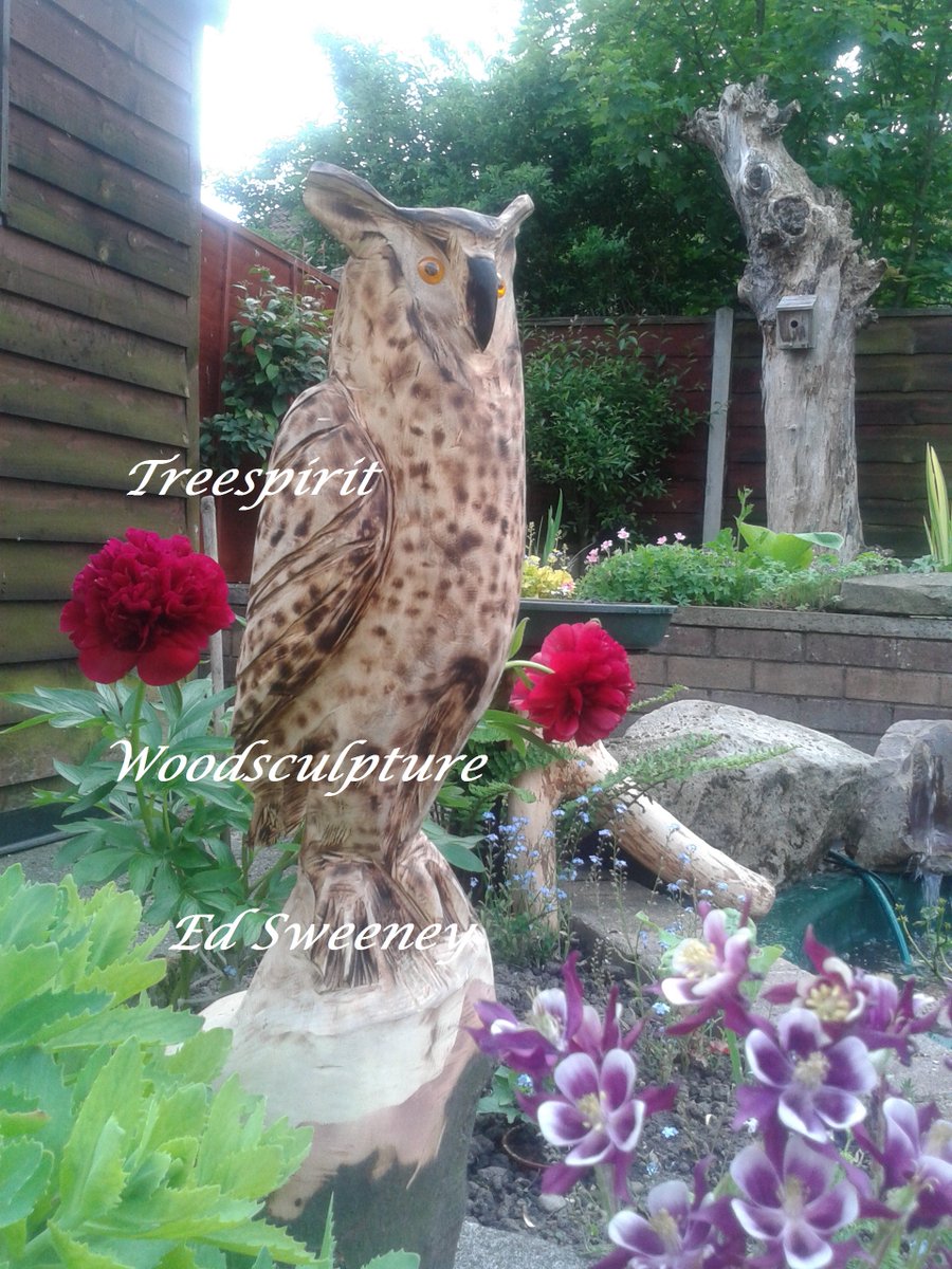 Eddy Sweeney (@spiritseeker_nw) on Twitter photo 