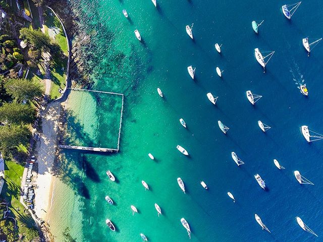 Australia's tweet photo. Hello down there, #FortyBasketsBeach - we must say you're looking rather delightful! (via IG/droning_australia in #Sydney) https://t.co/9lLLEtTkvj