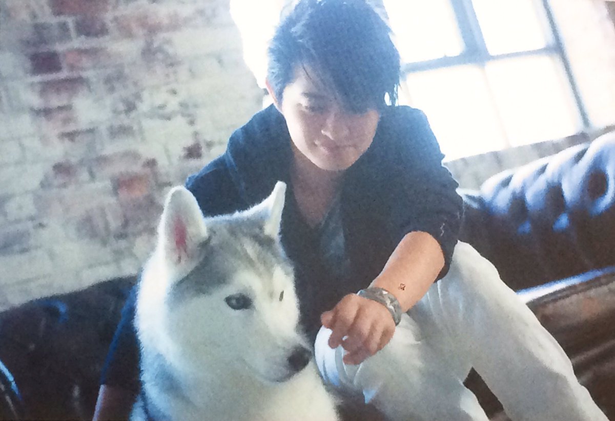 Rara Twitterissa もうパシフィコの余韻に浸りすぎて四六時中ずぅーっとひろたんの事考えてる ﾉwﾉ いつもの事w Real聴いてるけどニヤニヤ止まらなすぎて 今にもライト振りそう と言うことで我得な犬攻め あー本当下野紘 シベリアンハスキーが好きすぎて