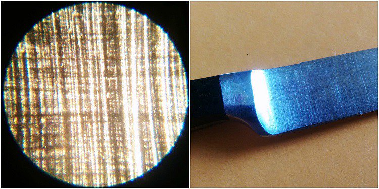 _hannimal_'s tweet photo. Microscopic Monday https://t.co/ZhvCrqzq5A https://t.co/f2QlsoWHFB
