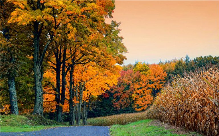 MissySparkles4's tweet photo. Taken near my hometown Somerset, PA. I sure do miss home. #Fall #RuralPA https://t.co/DaJ0fSppkW