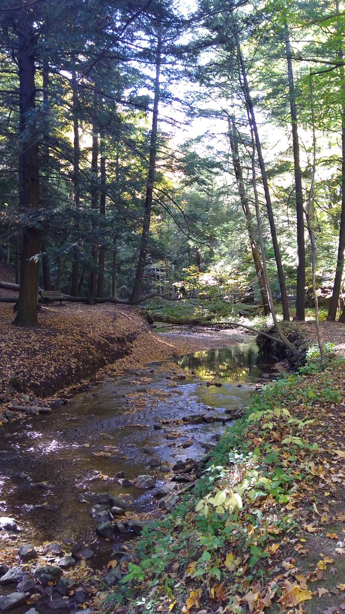 k1mshaw's tweet photo. Thankful to be in #HamOnt surrounded by conservation land and Mother Nature's artful handiwork. #hamiltonconservationauthority #Ontario https://t.co/9I53FGSNyE