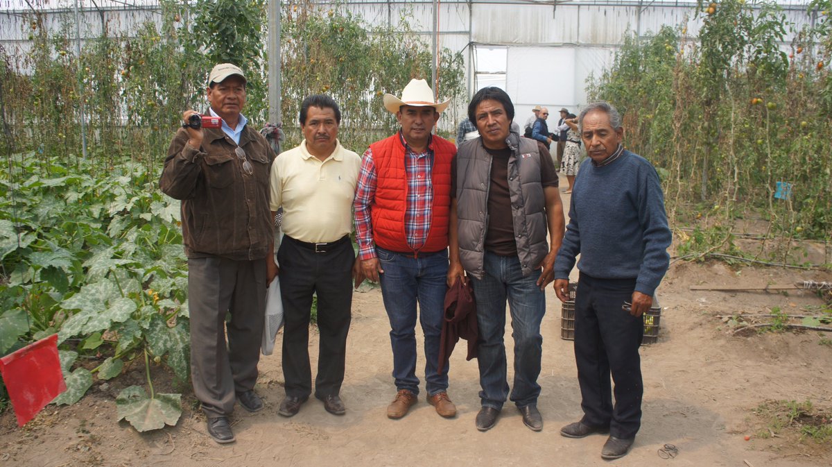 ConEsequiel's tweet photo. Así recibimos la semana, cosechando flor de calabaza y hortalizas, recordando no perder de vista la productividad. @eruviel_avila https://t.co/g2FzKt7Hen