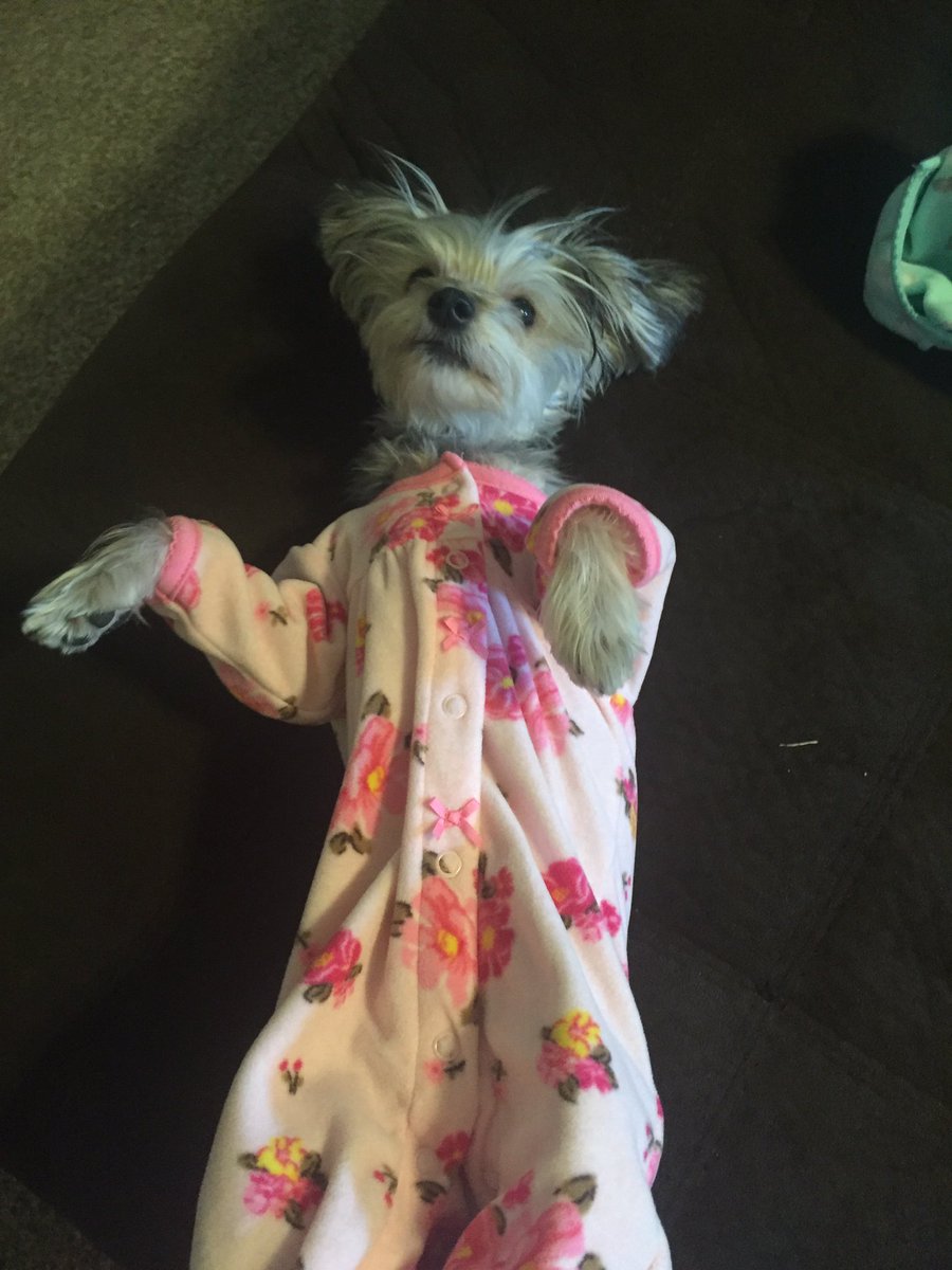 Lyla_Ann's tweet photo. I can't stop laughing 😂😂 https://t.co/T5ypFVrlqu
