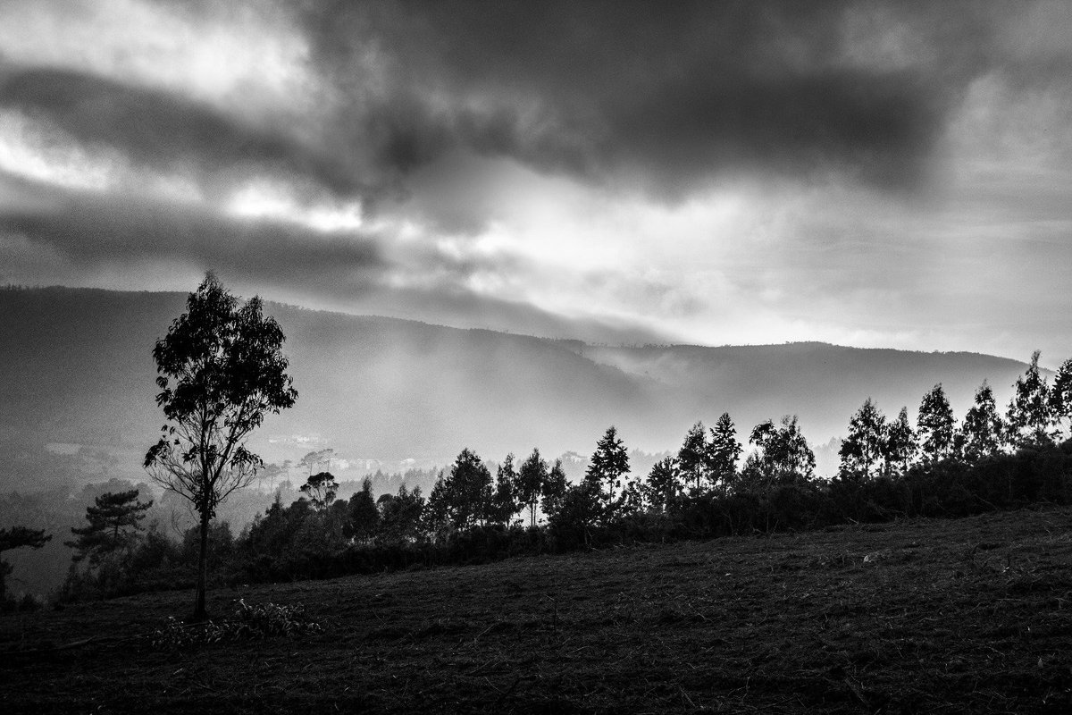 Atmosphere #atmosphere #blackandwhitephotography #landscape #clouds #light #fog