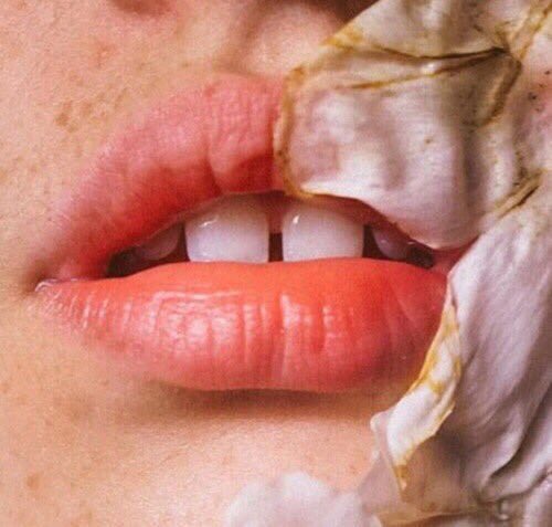 song boards tweet media