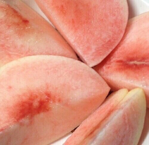 song boards tweet media