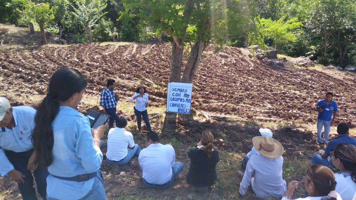 SalitoCabrera's tweet photo. @ACCIMMYT 
10/10/16. Colotlipa Mpio.de Quechultenango. Taller: Siembra con equipos no convensionales https://t.co/c5bmHMoVcf