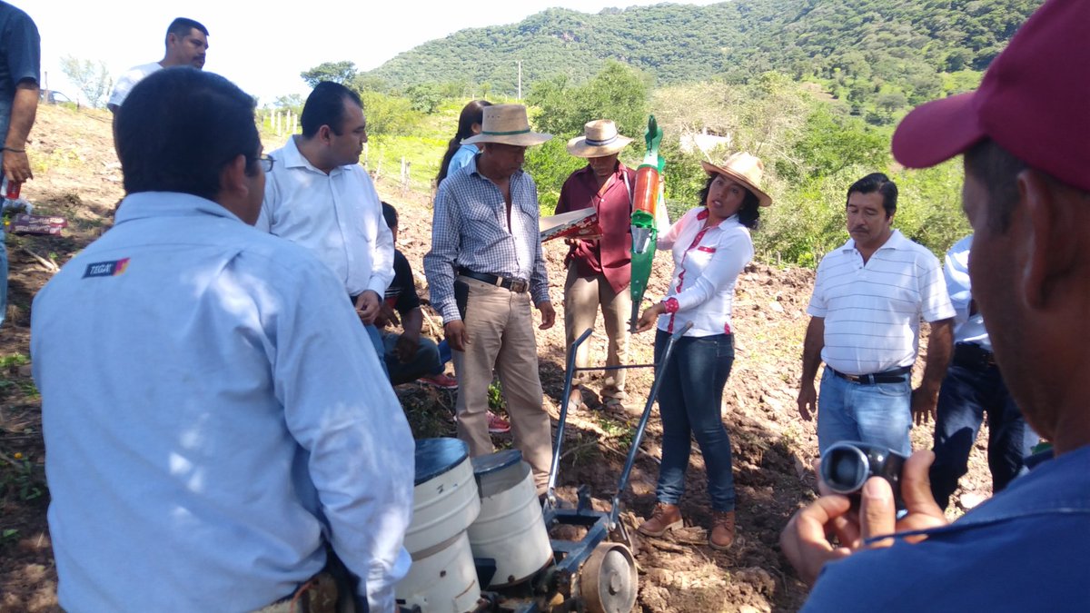 SalitoCabrera's tweet photo. @ACCIMMYT 
10/10/16. Colotlipa Mpio.de Quechultenango. Taller: Siembra con equipos no convensionales https://t.co/c5bmHMoVcf