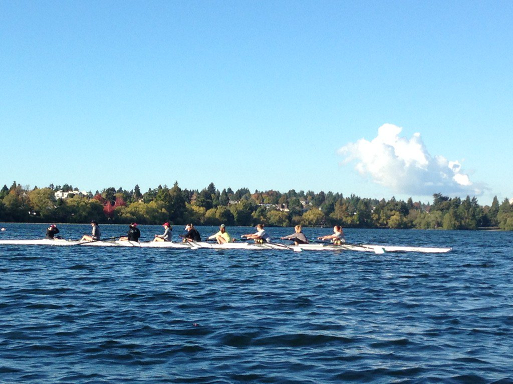 LeslieAnnHoward's tweet photo. Lots of activity @GreenLakeChmbr @GreenLakeInSea #walking #rowing #biking #chasingsticks @Rick_How @riibreadd https://t.co/YSrIyvDGv3