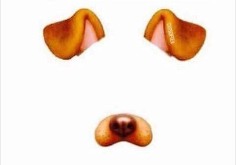 padresalvajee's tweet image. Muestren la u foto que tengan con este filtro, los observaré 🌚🌚