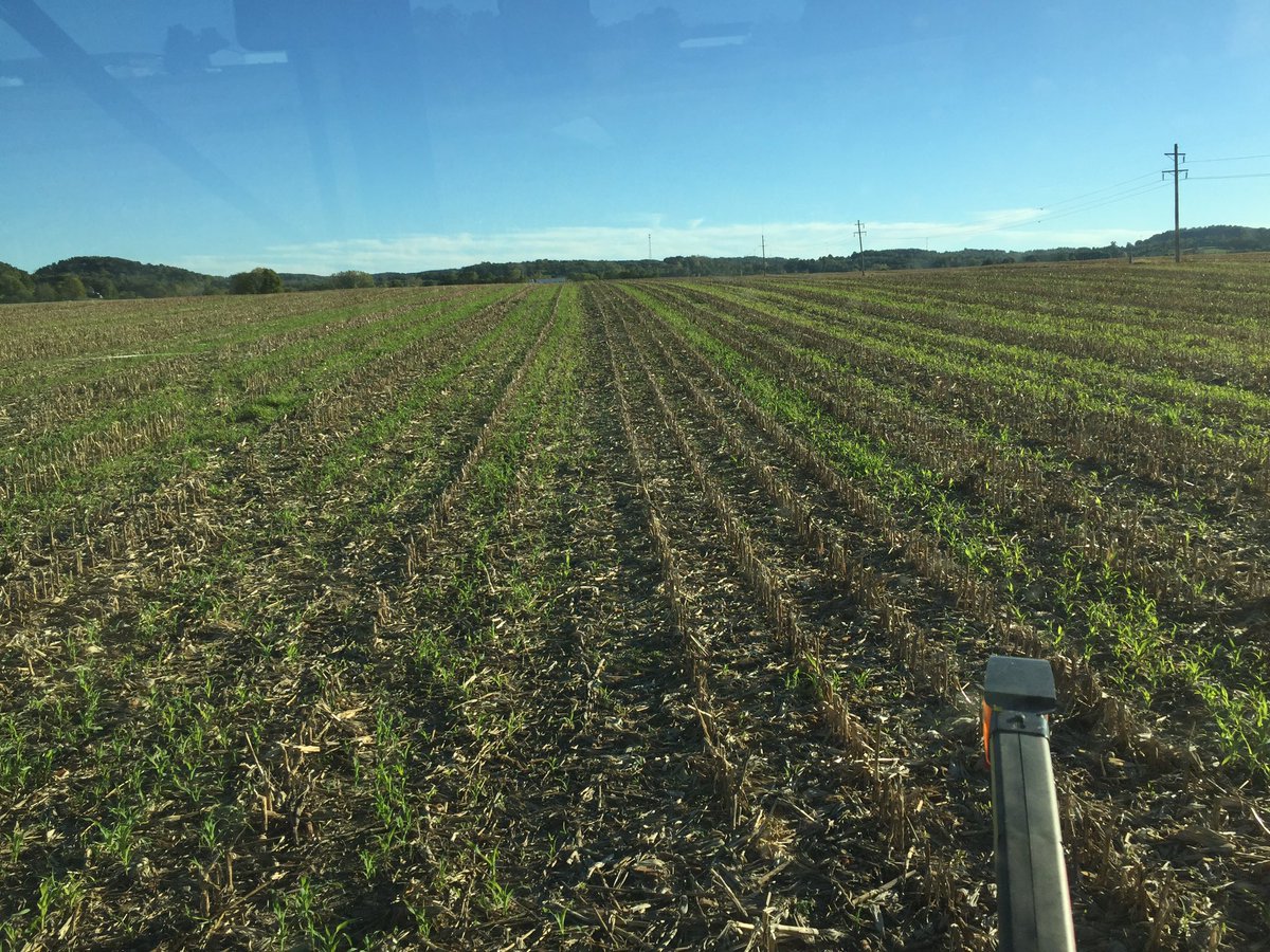 StoutsvilleSeedShed tweet media