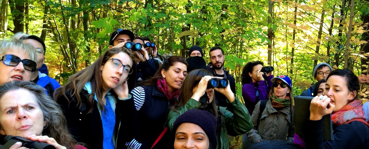 MRyborz's tweet photo. A birding walk that has better special effects than an IMAX screening!!!#RougeWalks are awesome esp. on Thanksgiving! Thank you @RougePark https://t.co/S29NQTl5kG