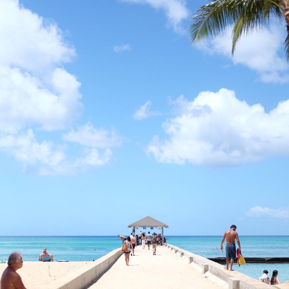 HonoluluCoffee's tweet photo. ☀️ day in Waikiki! Who is swimming? ☕️🌴🌺  https://t.co/BtIQd0965S

#waikiki #honolulu #hawaii #oahu #gotohawaii #vacationhawaii #flytohawaii https://t.co/j2Qwm6AV28